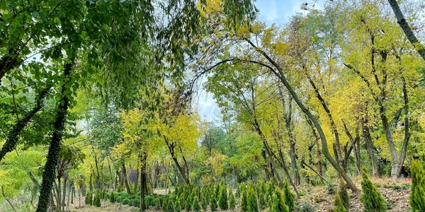 Parcul Sticlăriei foto Facebook Radu Mihaiu