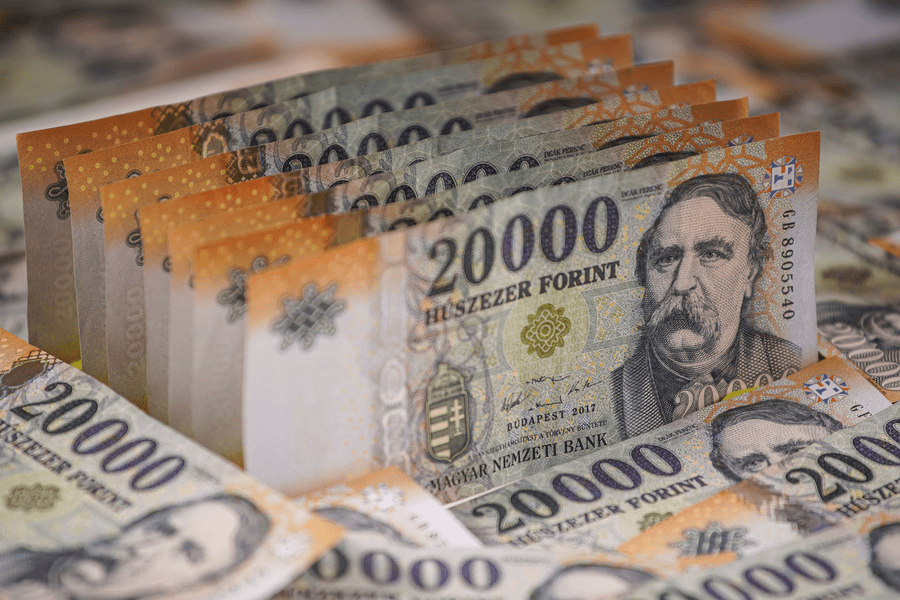 Prăbuşirea forintului determină Ungaria să îşi schimbe atitudinea cu privire la aderarea la euro