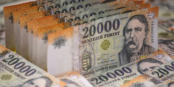 Forint Ungaria FOTO Shutterstock jpg