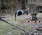 Valea Arsului, Hunedoara  Foto Daniel Guță ADEVĂRUL (74) JPG