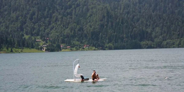 colibita 6