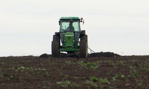 agricultura grau georgian calota (3) jpg