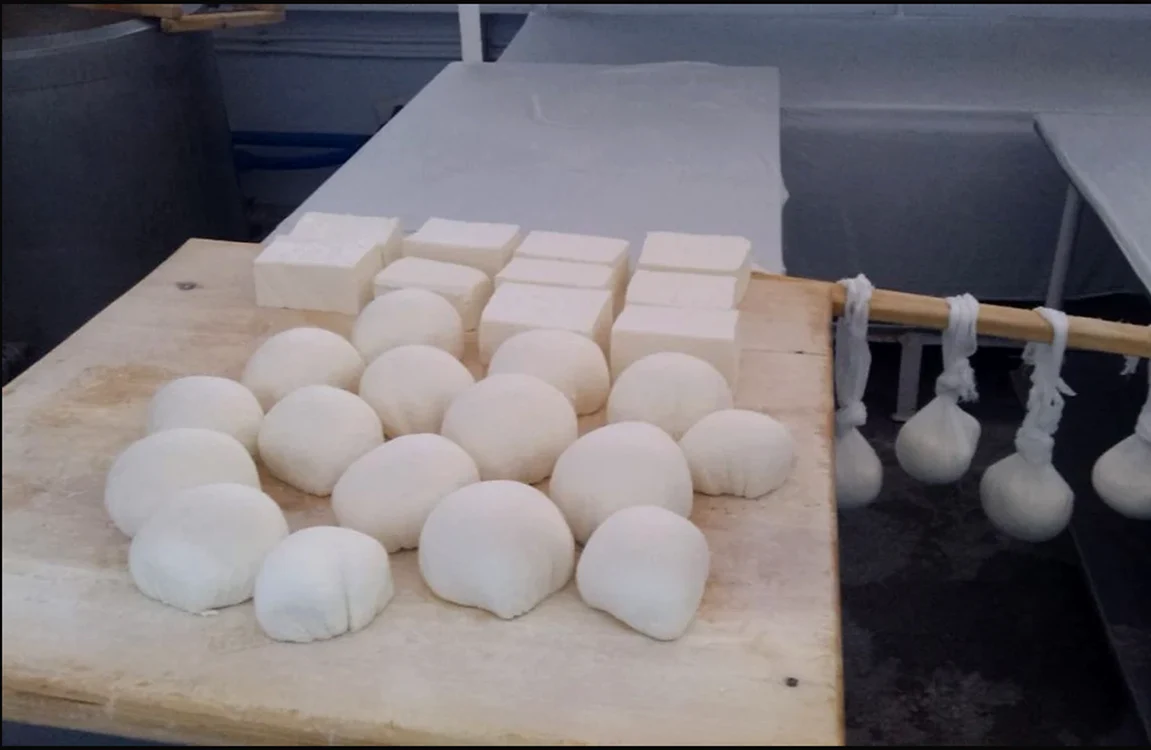 diferite tipuri de brânzeturi