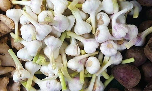 1 72354 original jpg jpeg