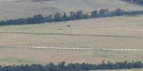 Captură de ecran 2023 07 28 124115 png