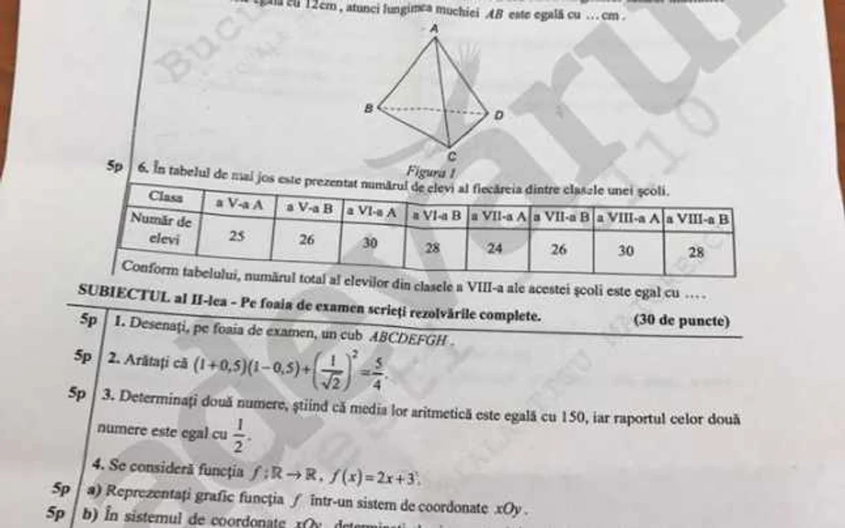 subiecte matematica capcaitate 2017 1