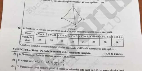 subiecte matematica capcaitate 2017 1