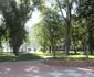parcul municipal 13