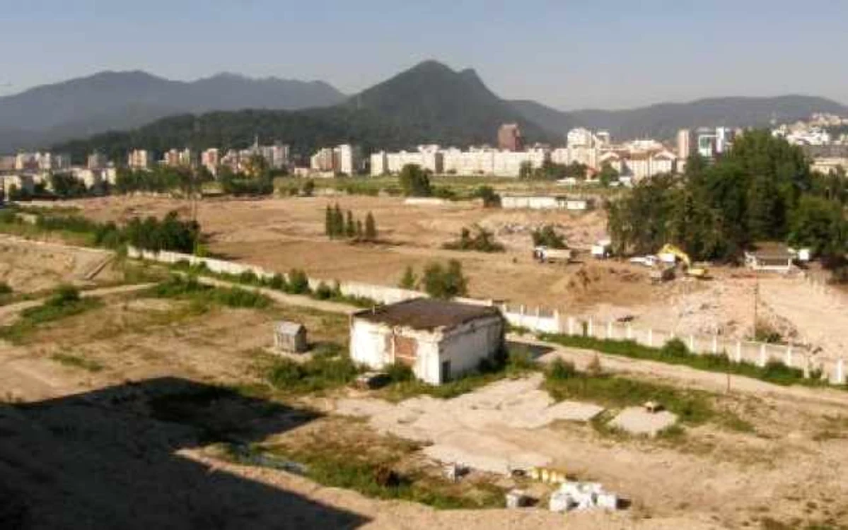 Pe terenul fostei fabrici cresc acum doar bălării. FOTOSimona Suciu