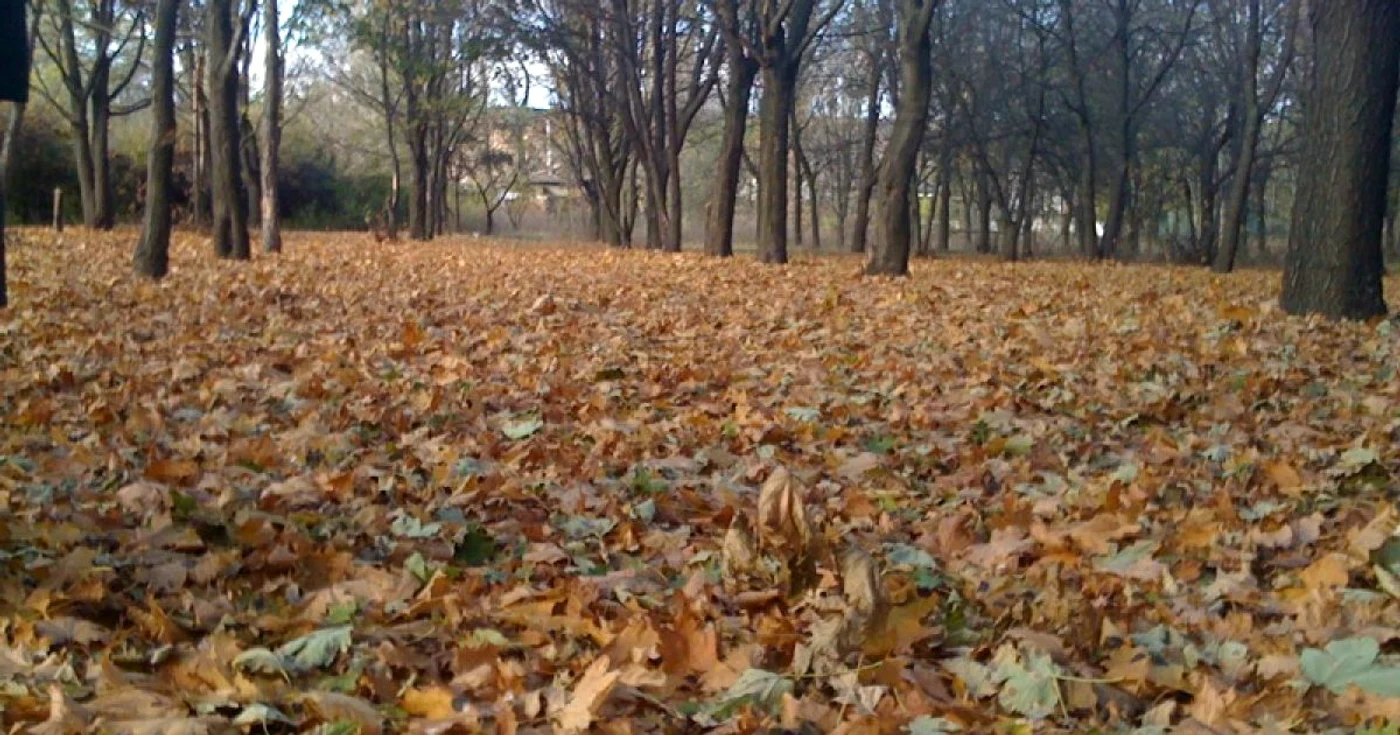Luna septembrie aduce vreme bună