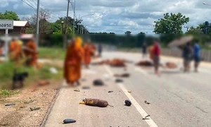 budisti morti jpg