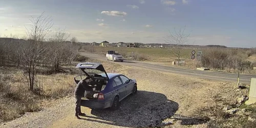 Amenda primită de un bărbat care a abandonat o pisică Foto Captură video jpg