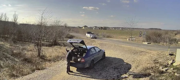 Amenda primită de un bărbat care a abandonat o pisică Foto: Captură video
