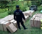 Țigări de contrabandă găsite ascunse în pădure Foto Poliția de Frontieră 5 jpg