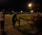Furtuna a făcut ravagii în Târgu Jiu Foto: Edilitara Public