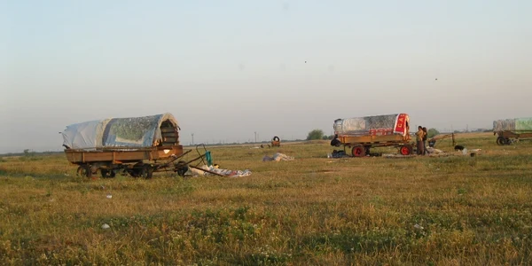 Tabără de nomazi cu 15 căruţe