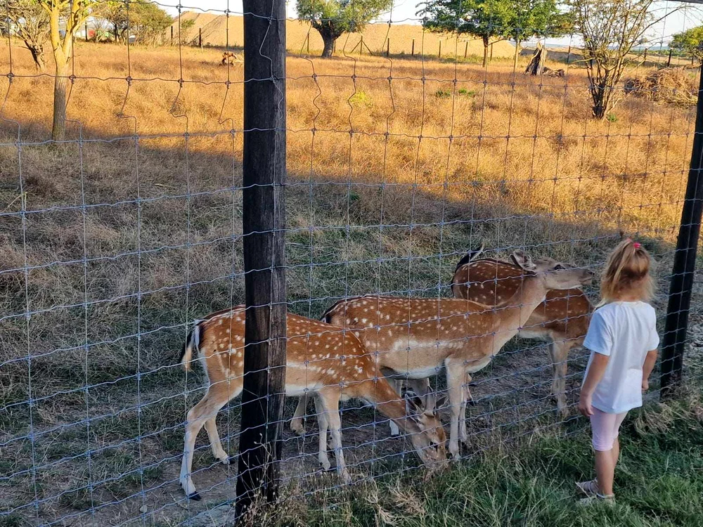 Cele mai iubite de către copii FOTO Claudia Untaru 