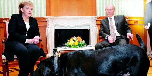 merkel putin caine