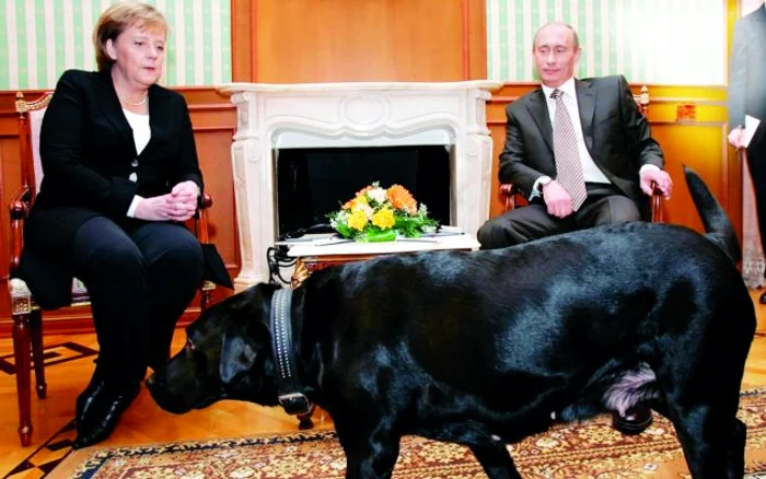 În 2007, Merkel a fost crispată la
vederea lui Konni, labradorul lui Putin