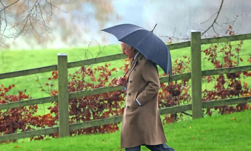 Regele Charles, Profimedia (6) jpg