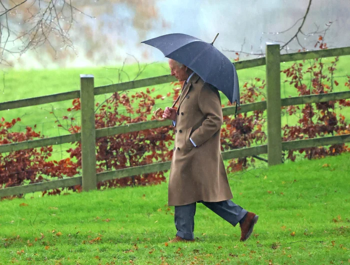 Regele Charles, Profimedia (6) jpg