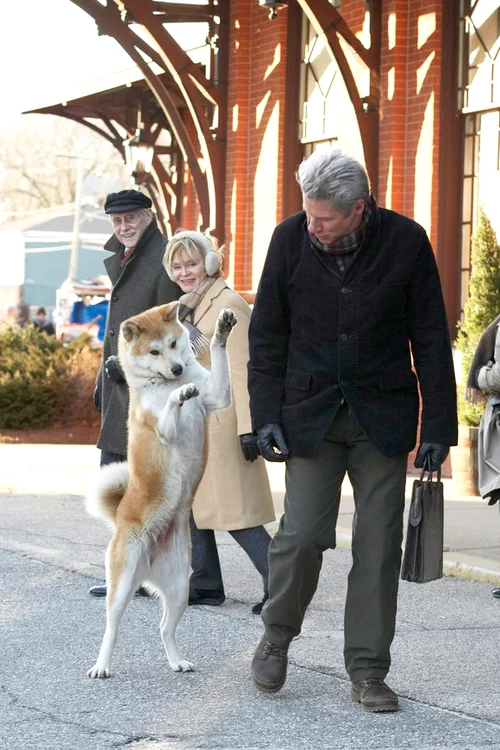 Căţelul stă nemişcat în faţa porţii FOTO: adevărul.ro