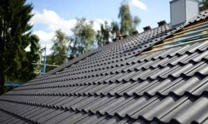 acoperisuri tigla png