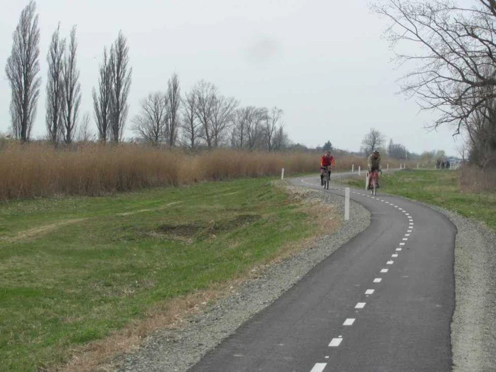 Pista de bicicletă care leagă Timişoara de graniţa cu Serbia FOTO Ştefan Both