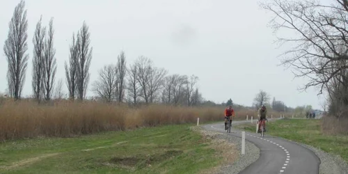 Pista de biciclete de pe digul Begăi FOTO Ştefan Both