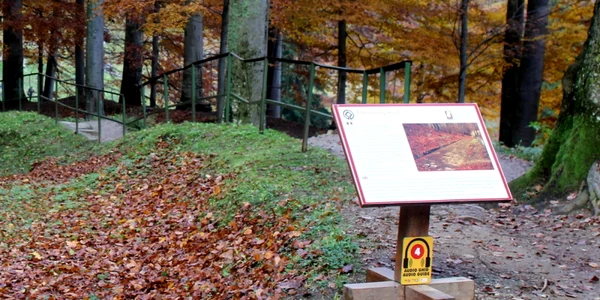 sarmizegetusa