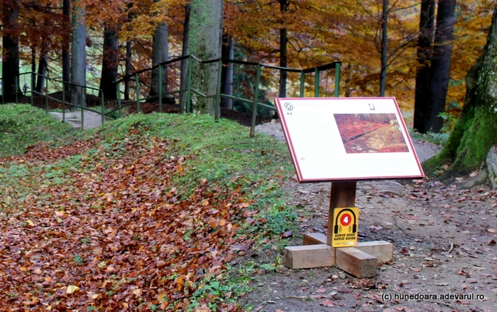 Audio-ghiduri în Sarmizegetusa Regia. FOTO: Daniel Guţă. ADEVĂRUL.