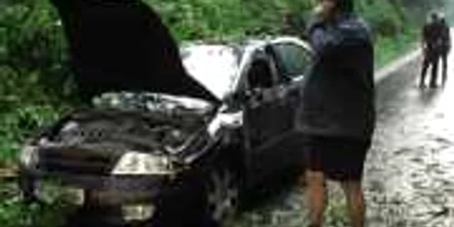 Copacul a căzut peste mașina aflată în trafic