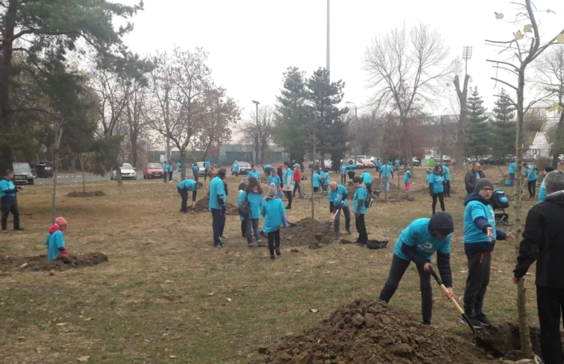 Zeci de voluntari au participat la acţiunea de plantare din parcul Dan Păltinişanu