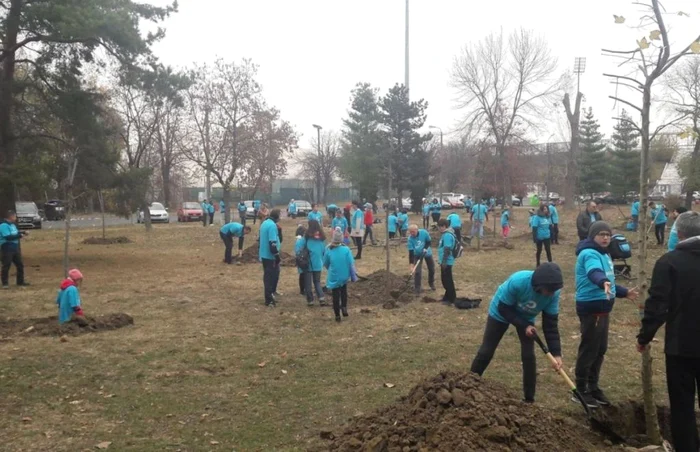 Zeci de voluntari au participat la acţiunea de plantare din parcul Dan Păltinişanu