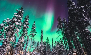 Aurora Boreală în Laponia Foto Eturia
