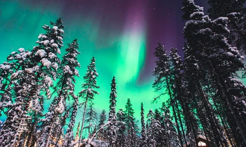 Aurora Boreală în Laponia Foto Eturia