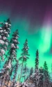 Aurora Boreală în Laponia Foto Eturia