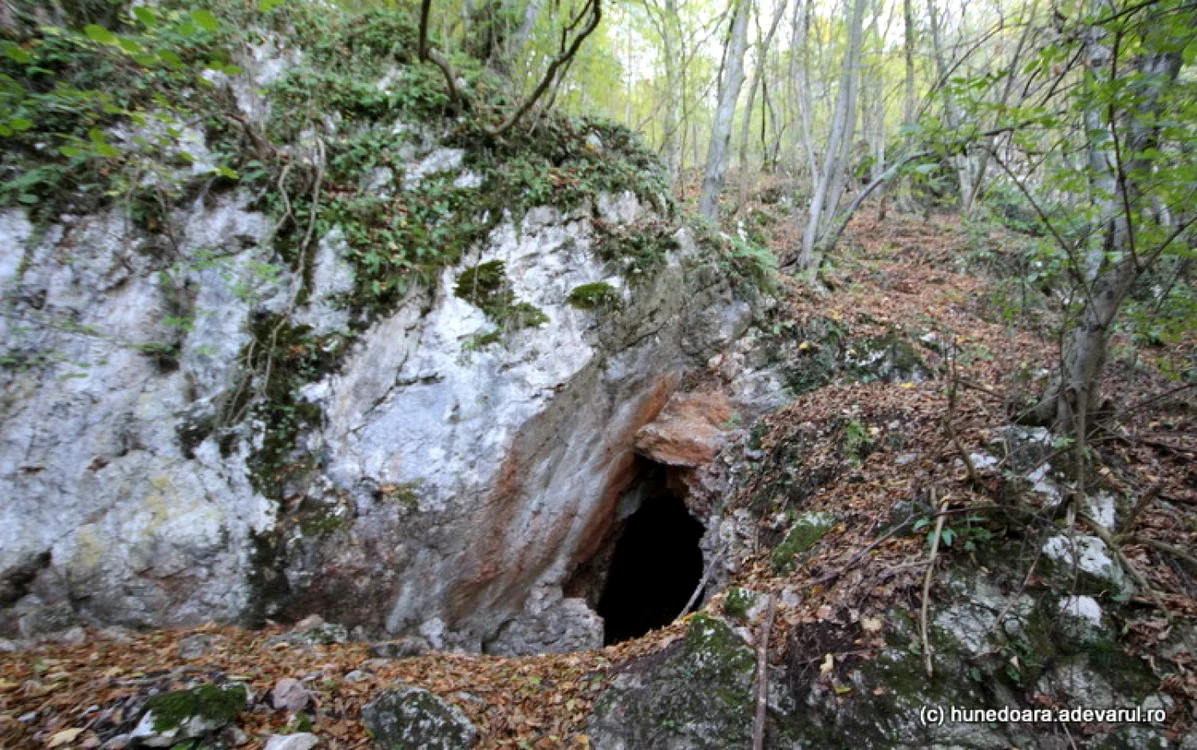 Intrarea în vechea mină. Foto: Daniel Guţă. ADEVĂRUL.