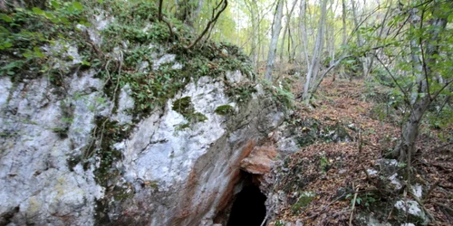 cioclovina hunedoara adevarul foto daniel guta 