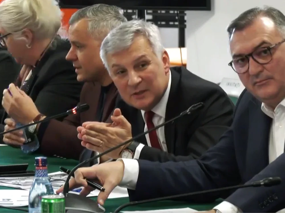 Daniel Zamfir, în ședința de joi/FOTO: Captură video Facebook/PSD