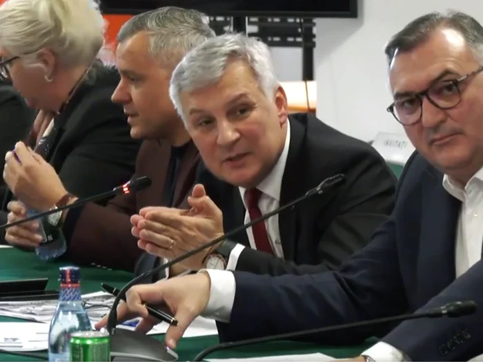 Daniel Zamfir, în ședința de joi/FOTO: Captură video Facebook/PSD