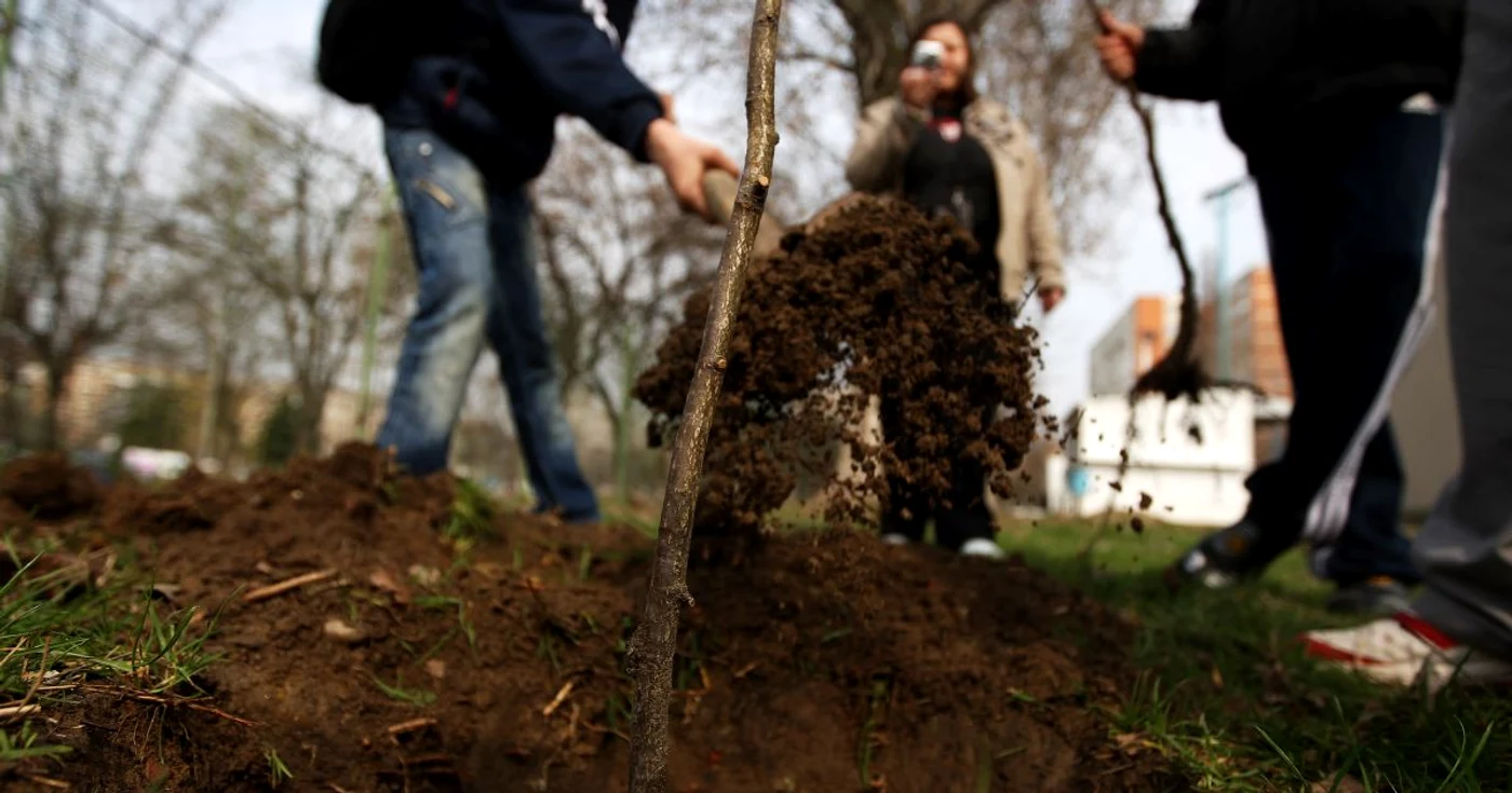 6.000 de oameni vor planta arborii în Chişinău şi suburbii FOTO: Adevărul