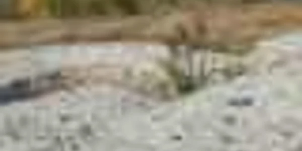Cetatea Dinogetia, detaliu