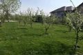 Pomii înfloriţi şi gazonul proaspăt tuns o fac pe actriţă sp stea numai în curte jpeg
