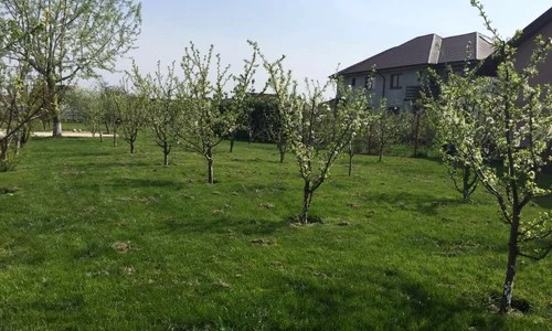 Pomii înfloriţi şi gazonul proaspăt tuns o fac pe actriţă sp stea numai în curte jpeg