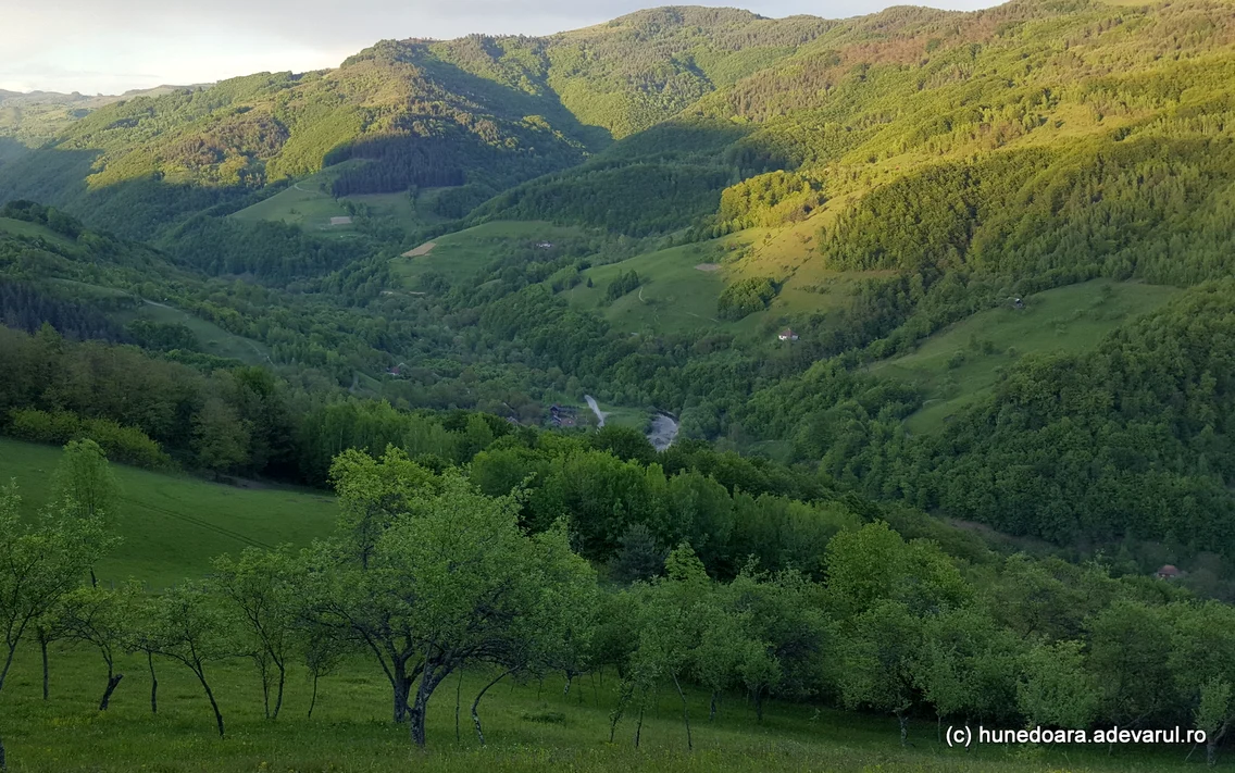 Blăjeni Foto Danel Guță (2) jpg