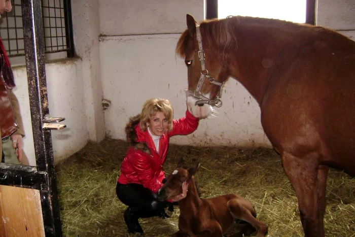 Mama lui Aldo este şi ea foarte apropiată de căluţii familiei (foto: arhiva personală)