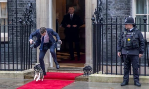 motanul larry profimedia jpg