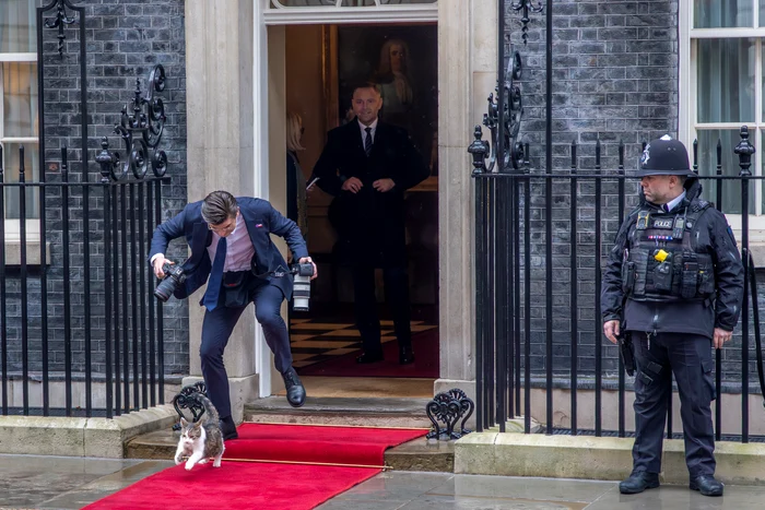 Motanul Larry l-a împiedicat pe fotograf (Foto: Profimedia)