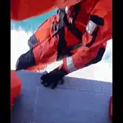 salvare gif gif